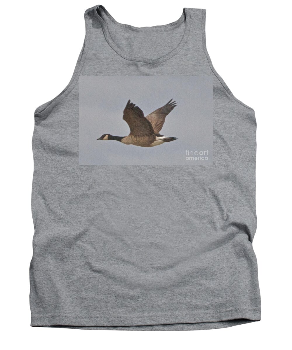 Canadian Geese Tank Top featuring the photograph In Flight by William Norton