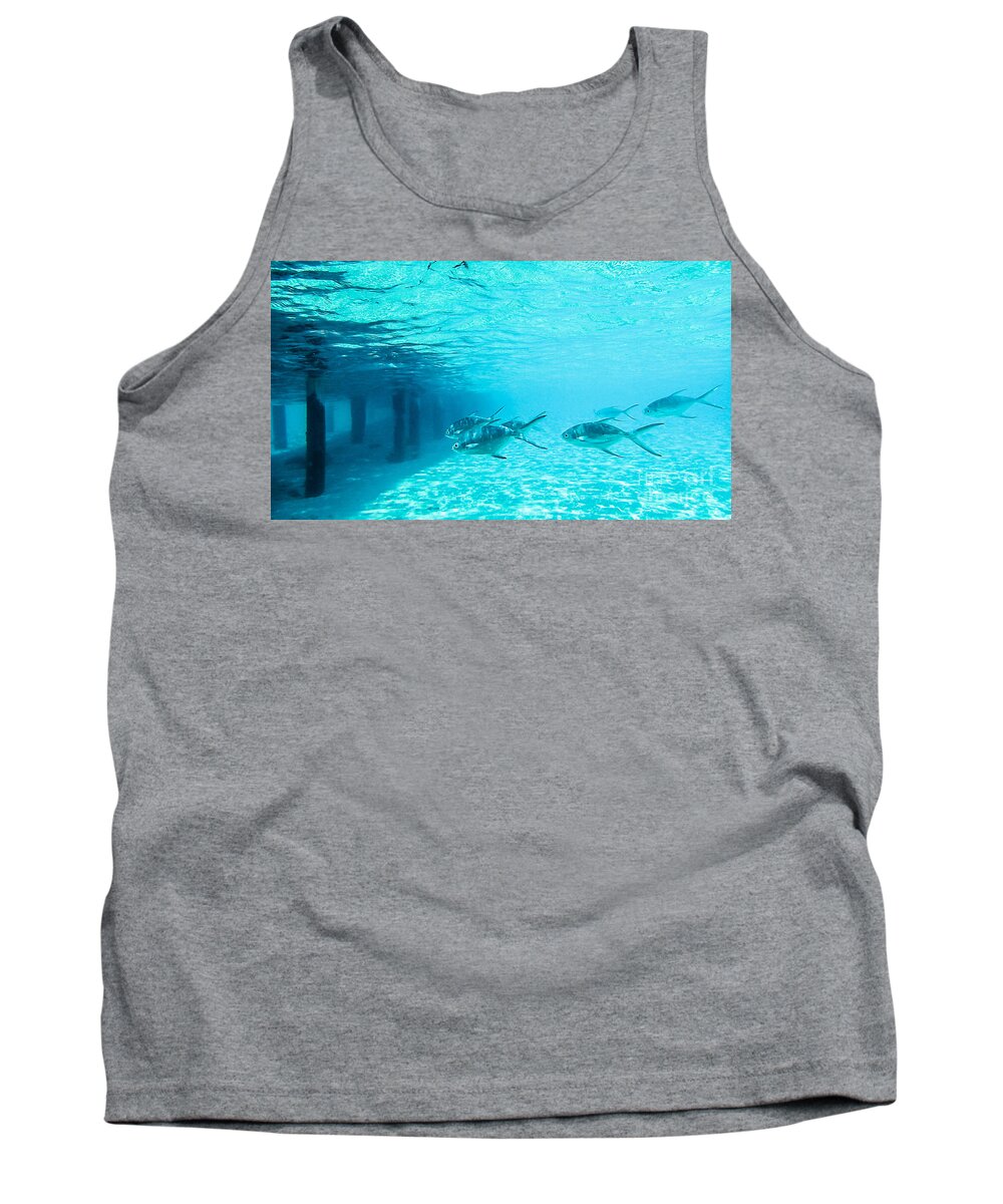 Animal Tank Top featuring the photograph In The Turquoise Water by Hannes Cmarits