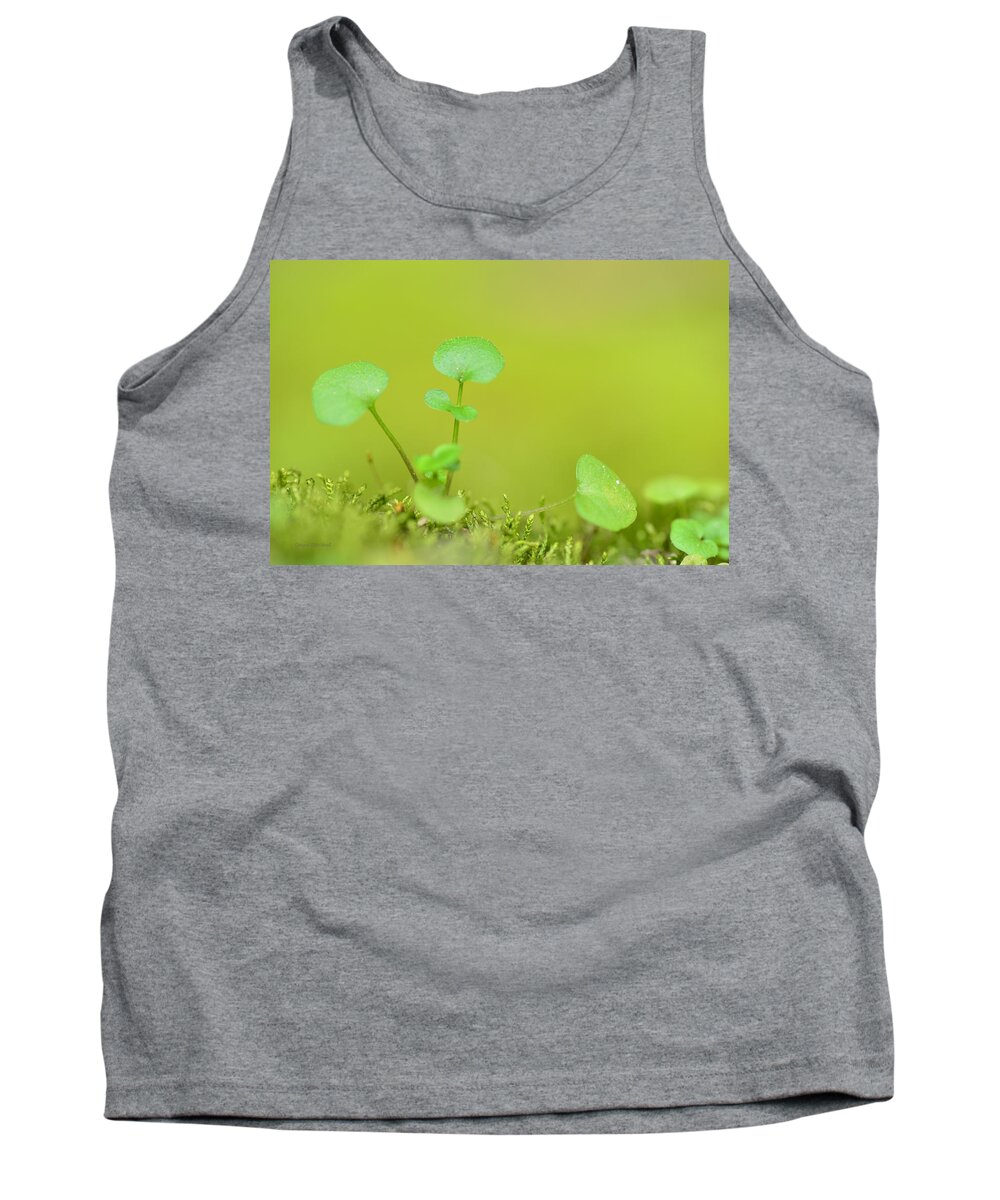 Botanical Tank Top featuring the photograph In The Valley Of The Leprechauns by Donna Blackhall