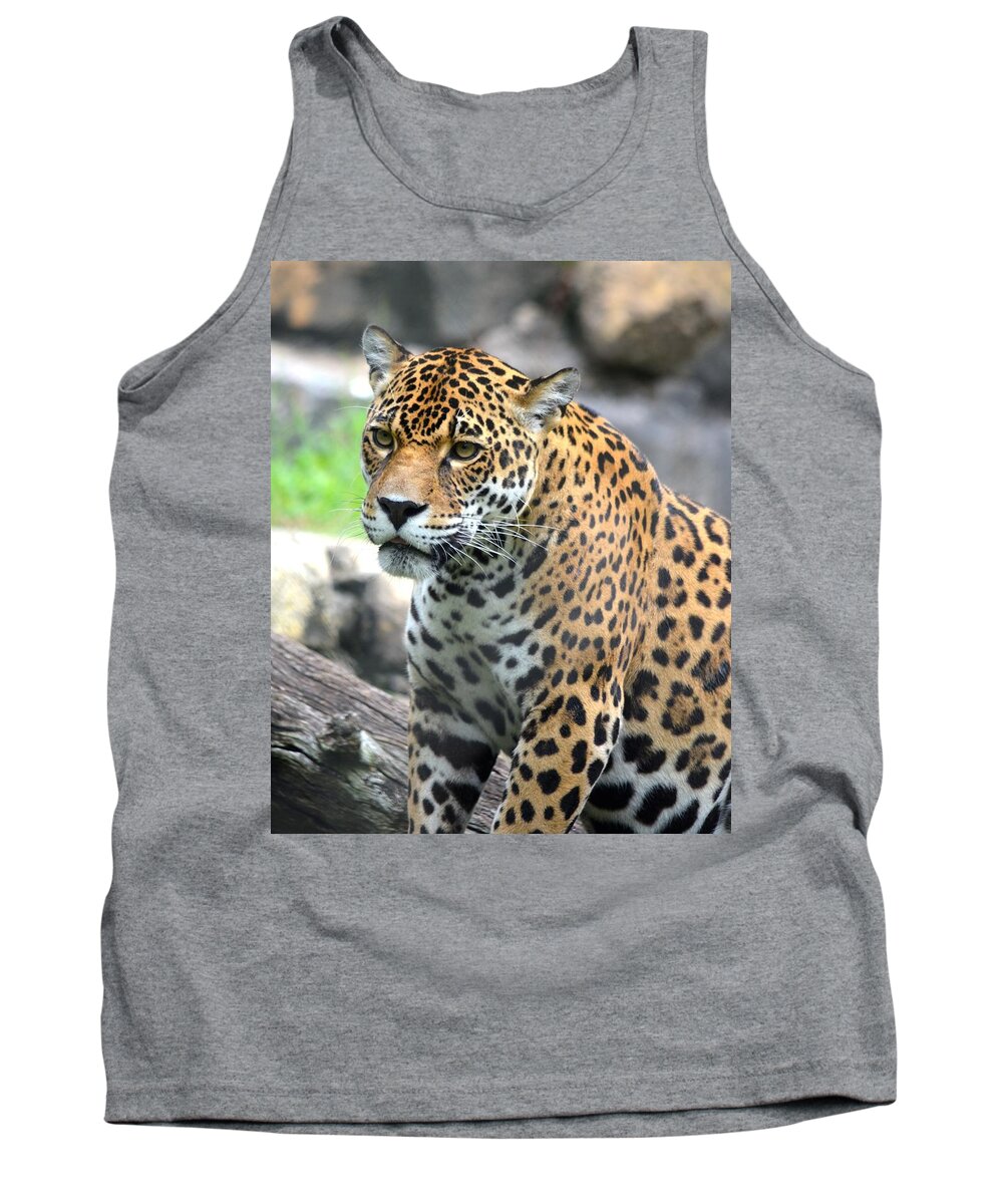 Leopard Tank Top featuring the photograph Jaguar portrait by Richard Bryce and Family