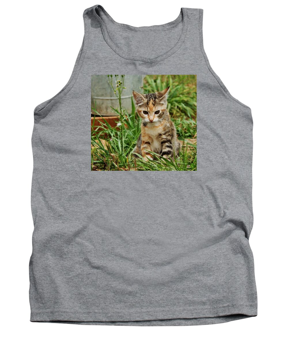 Kitten Tank Top featuring the photograph Jungle Out Here by VLee Watson