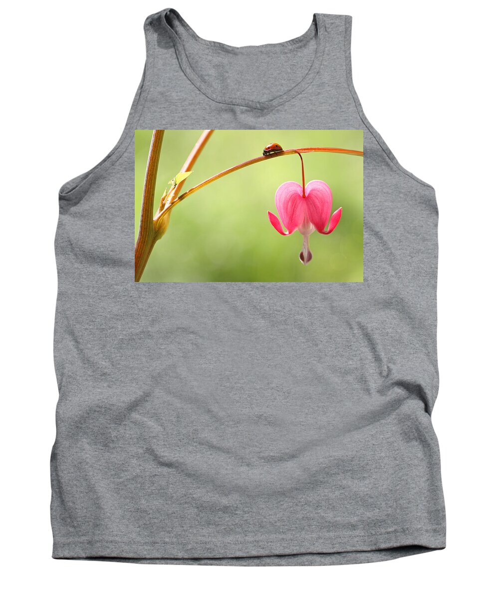Ladybugs Tank Top featuring the photograph Ladybug and Bleeding Heart Flower by Peggy Collins