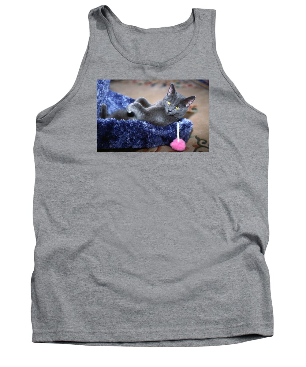 Russian Blue Kitten Lying Back Inside Scratching Post Tank Top featuring the photograph Laid Back by Sally Weigand