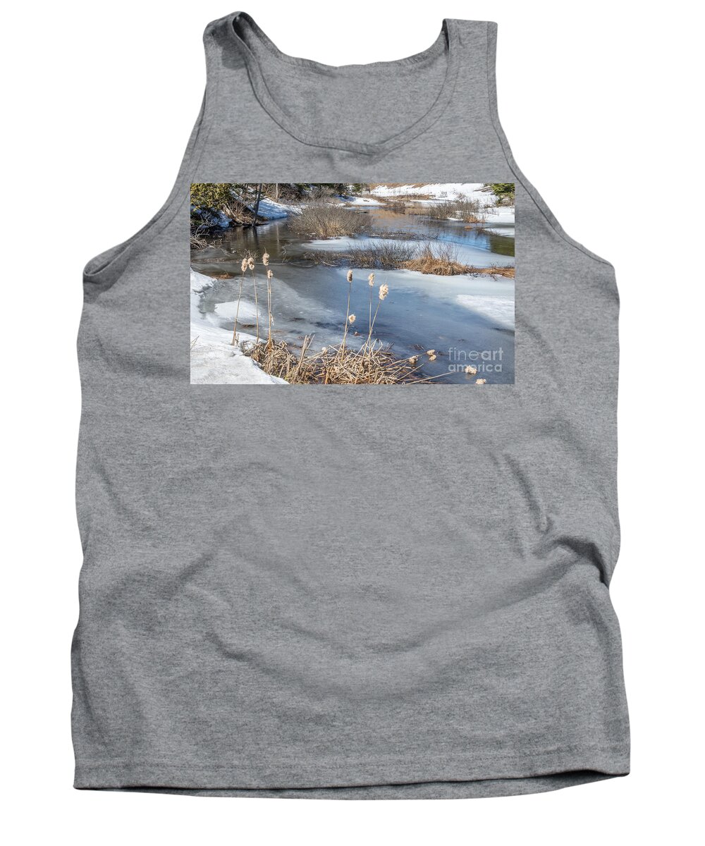 Winter Tank Top featuring the photograph Last Days of Winter by Jola Martysz