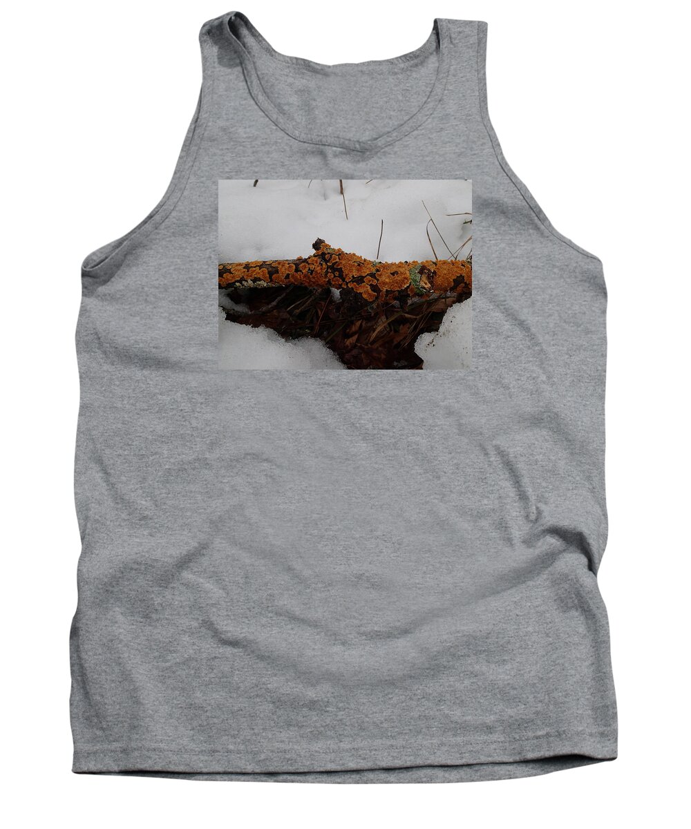 Nature Tank Top featuring the photograph Lichen N'Snow by Robert Nickologianis