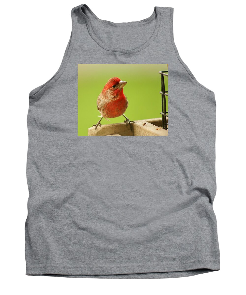 Finch Tank Top featuring the photograph Lil' Red Head by Susan McMenamin