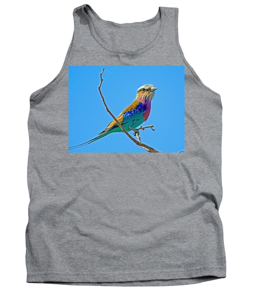 Lilac-breasted Roller In Kruger National Park Tank Top featuring the photograph Lilac-breasted Roller in Kruger National Park-South Africa by Ruth Hager