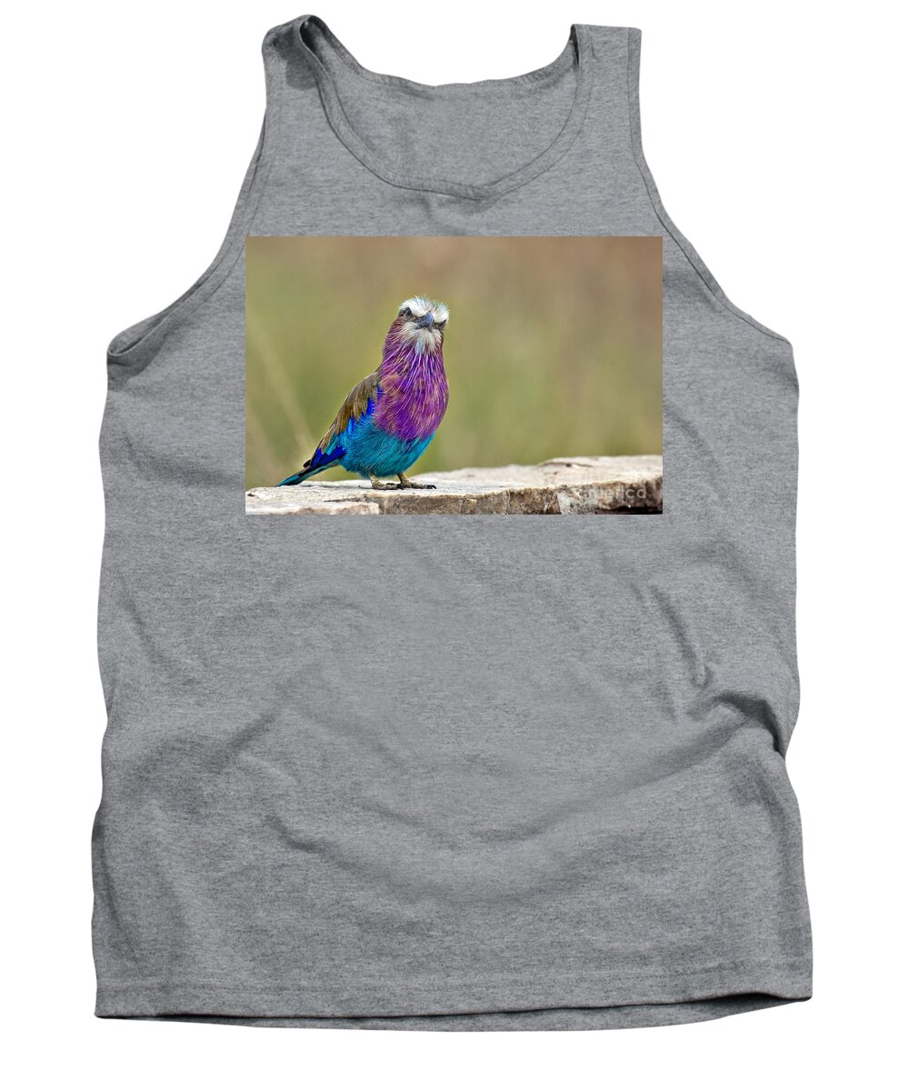 Africa Tank Top featuring the photograph Lilac Breasted Roller With Attitude by Timothy Hacker