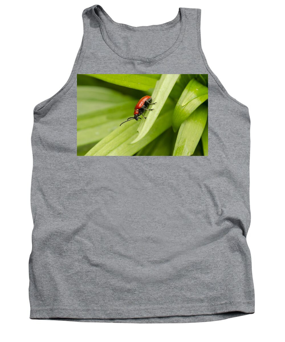 Lily Beetle Tank Top featuring the photograph Lily Beetle by Spikey Mouse Photography