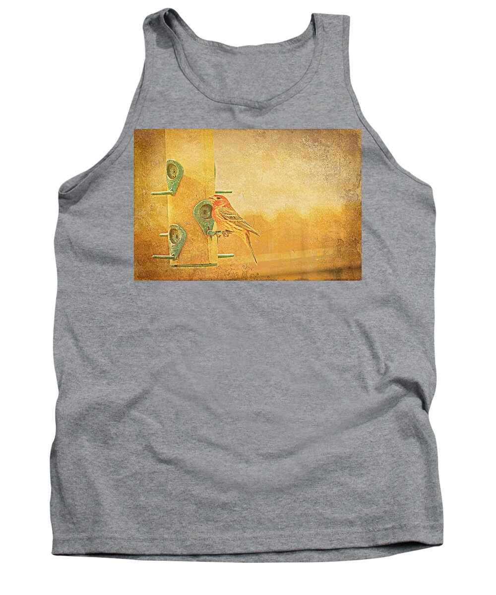 Bird Tank Top featuring the photograph Little Finch On A Perch by Kay Novy