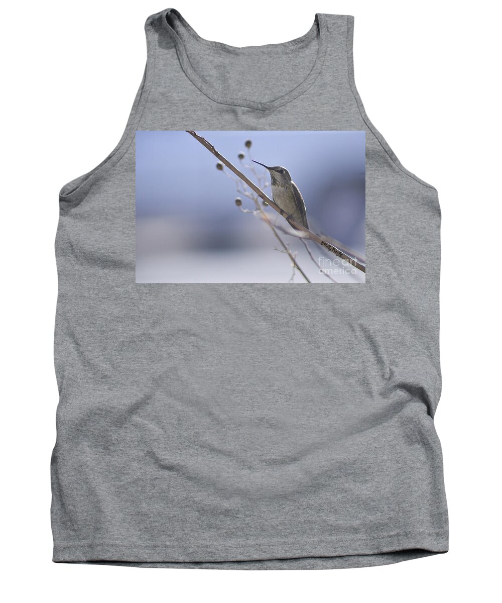 #male Anna #bird #hummingbird #fierce #neck Feathers #iridescent Feathers #territory #feathers #beak #blue Sky #sky Tank Top featuring the photograph Little Red by Debby Pueschel