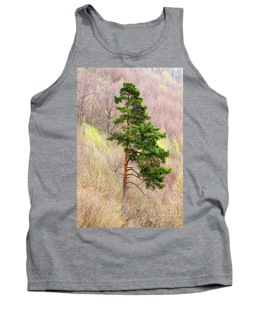 Pine Tank Top featuring the photograph Lone Pine by Les Palenik