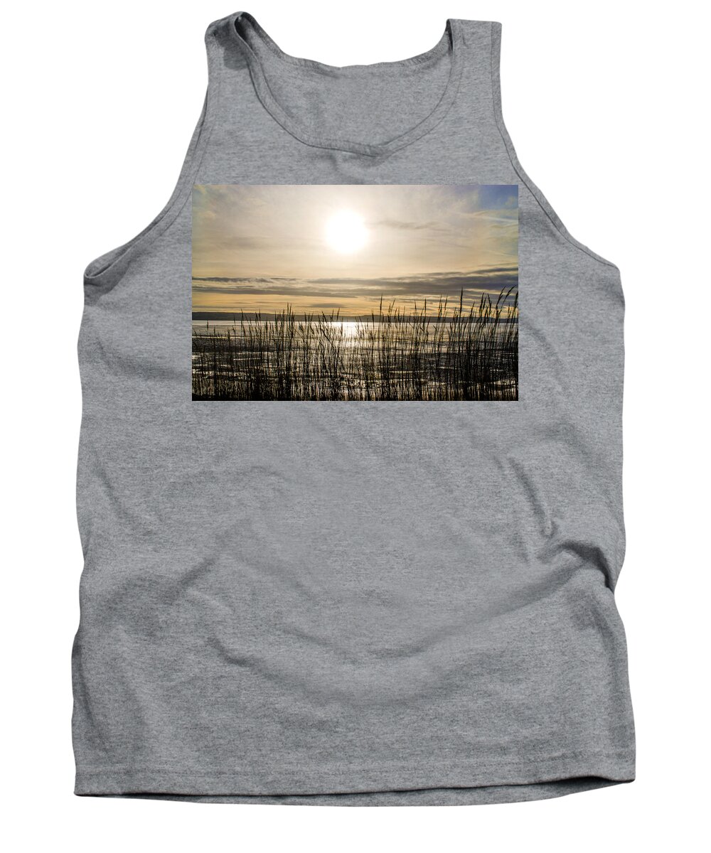 North Wales Tank Top featuring the photograph Looking at Wales through the grass by Spikey Mouse Photography