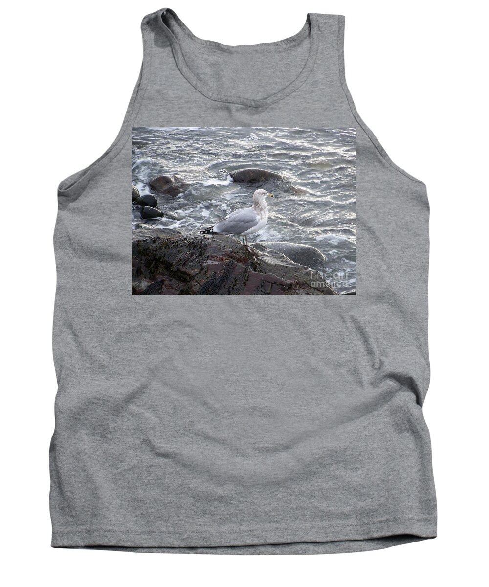 Sea Gulls Tank Top featuring the photograph Seagull on the Rocky Coast by Eunice Miller