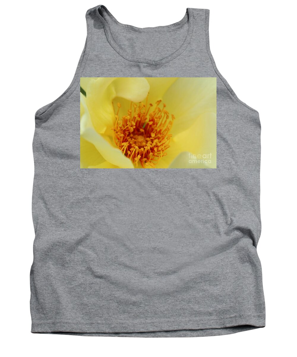 Love Tank Top featuring the photograph Macro of yellow rose by Amanda Mohler