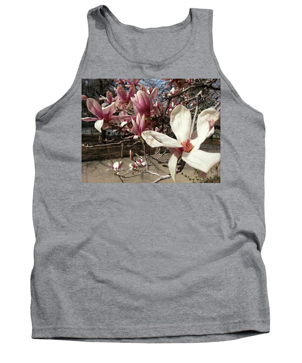 Pink Tank Top featuring the photograph Magnolia Branches by Caryl J Bohn