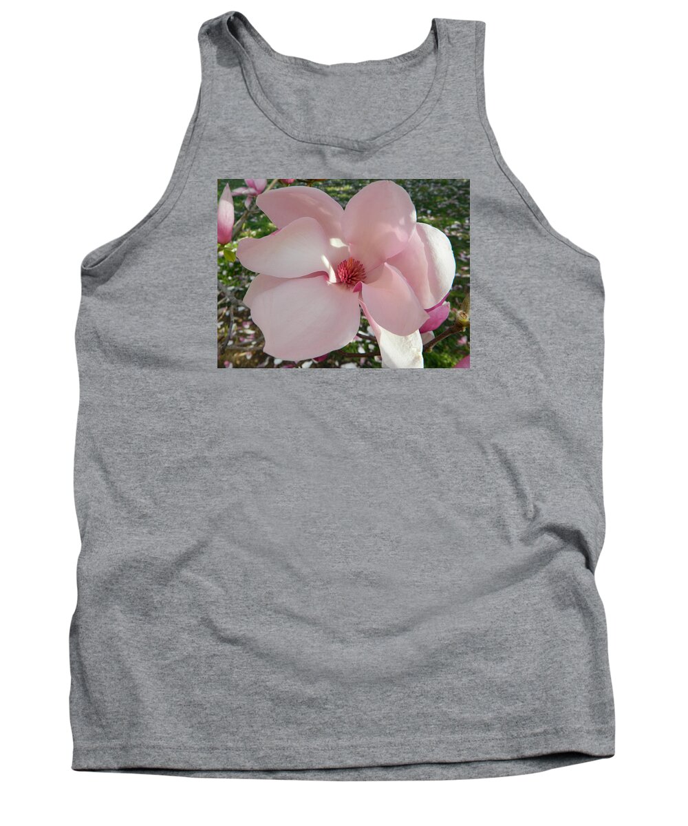 Magnolia Surprise Tank Top featuring the photograph Magnolia Surprise by Emmy Marie Vickers