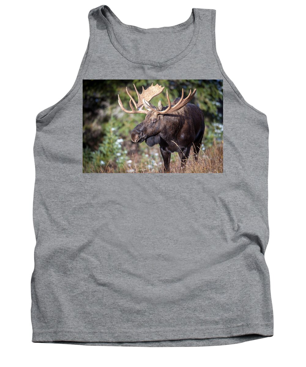Wildlife Tank Top featuring the photograph Mission by Kevin Dietrich