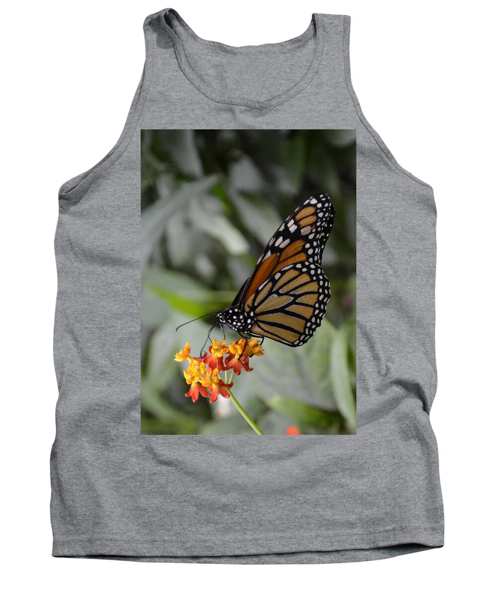 Monarch Tank Top featuring the photograph Monarch by Spikey Mouse Photography