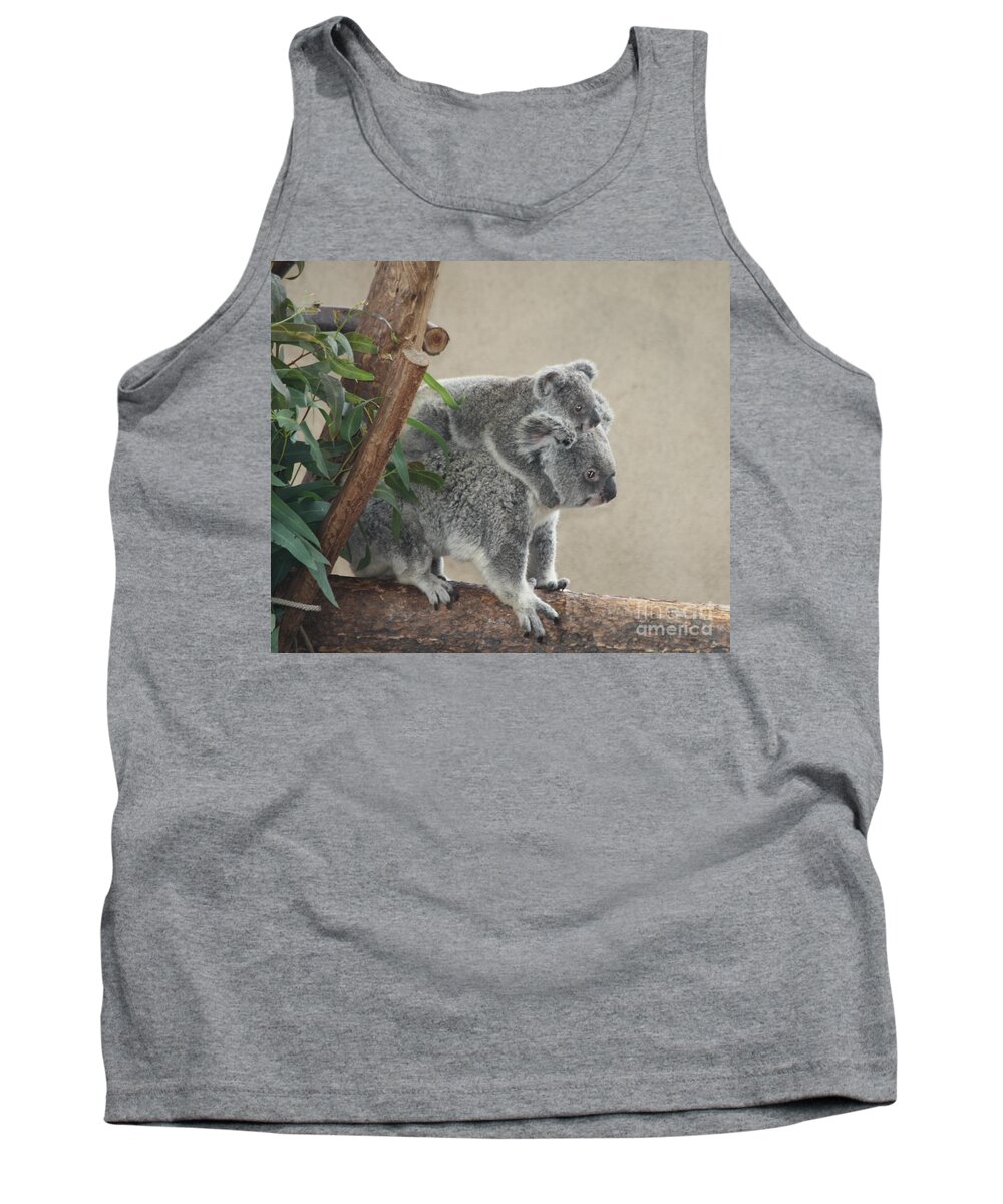 Mother And Child Koalas Tank Top featuring the photograph Mother and Child Koalas by John Telfer