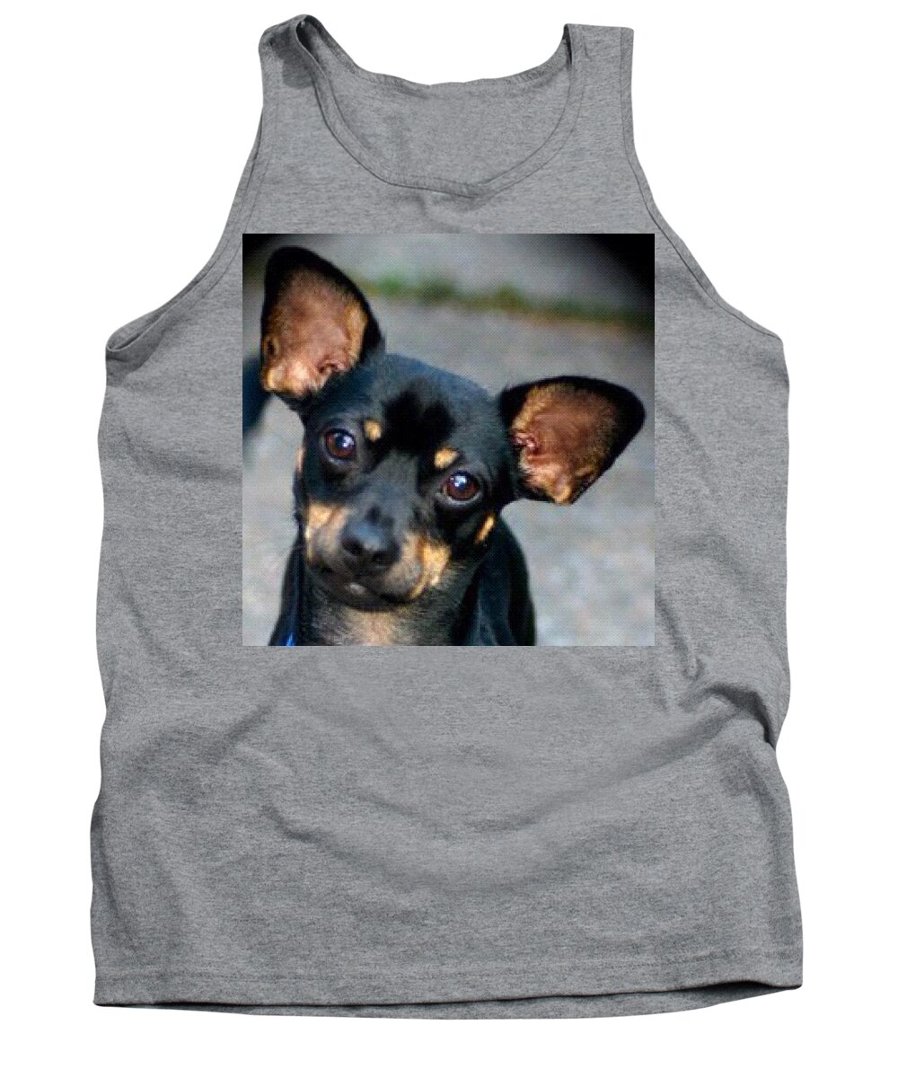 Pet Tank Top featuring the photograph My Adorable Pepper Pup by Anna Porter