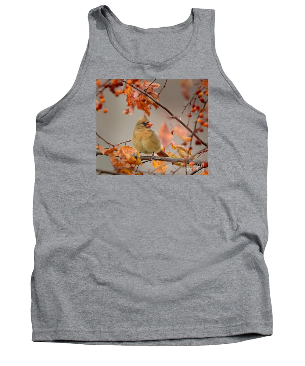 Nature Tank Top featuring the photograph Fall Colors by Nava Thompson