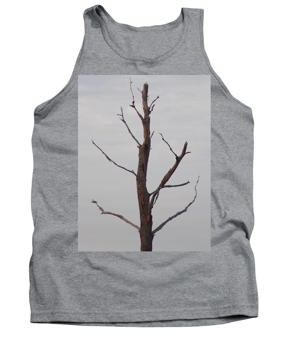 Family Tank Top featuring the photograph Alzheimer's Please read description by John Glass