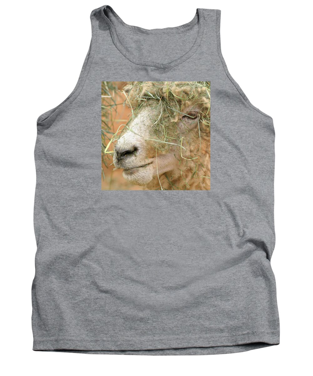 Sheep Tank Top featuring the photograph New Hair Style by Art Block Collections