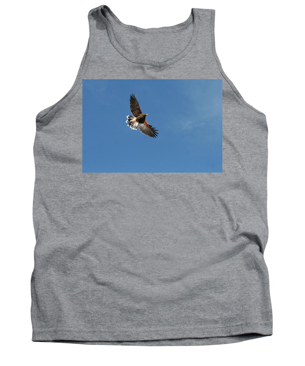 Harris Hawk Tank Top featuring the photograph On the wing by David S Reynolds