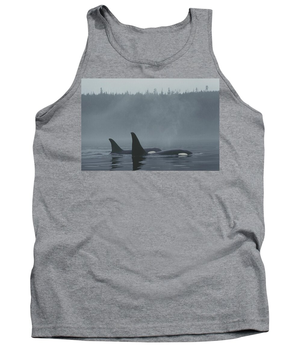 Feb0514 Tank Top featuring the photograph Orca Male And Female Surfacing Canada by Hiroya Minakuchi