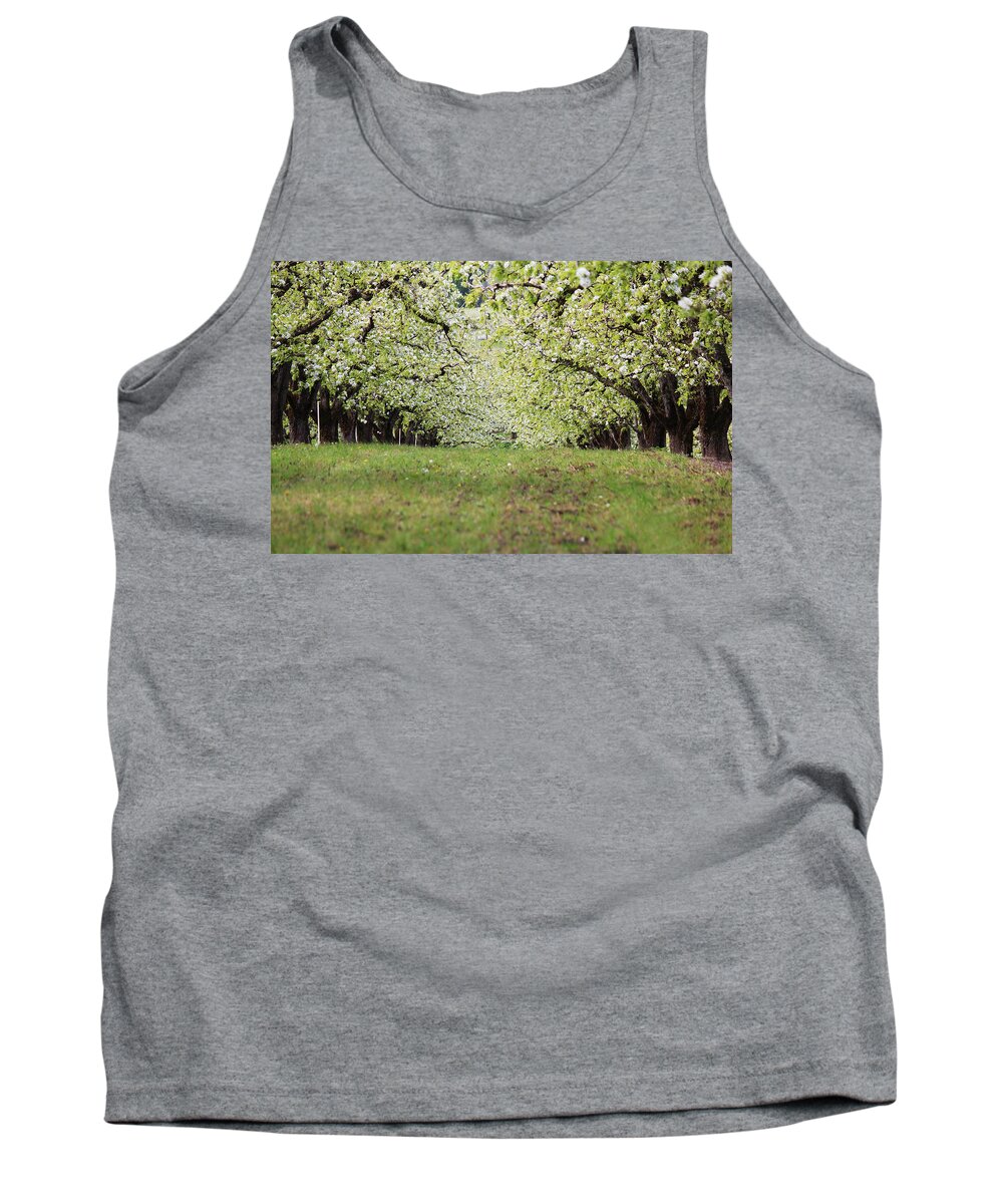 Apple Tank Top featuring the photograph Orchard by Patricia Babbitt