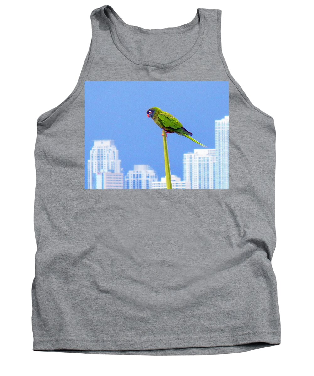 Parrot Bird Exotic South Beach Miami Florida Islands Tropics Ocean Sunny Island Nature Animals Tank Top featuring the photograph Parrot by Culture Cruxxx