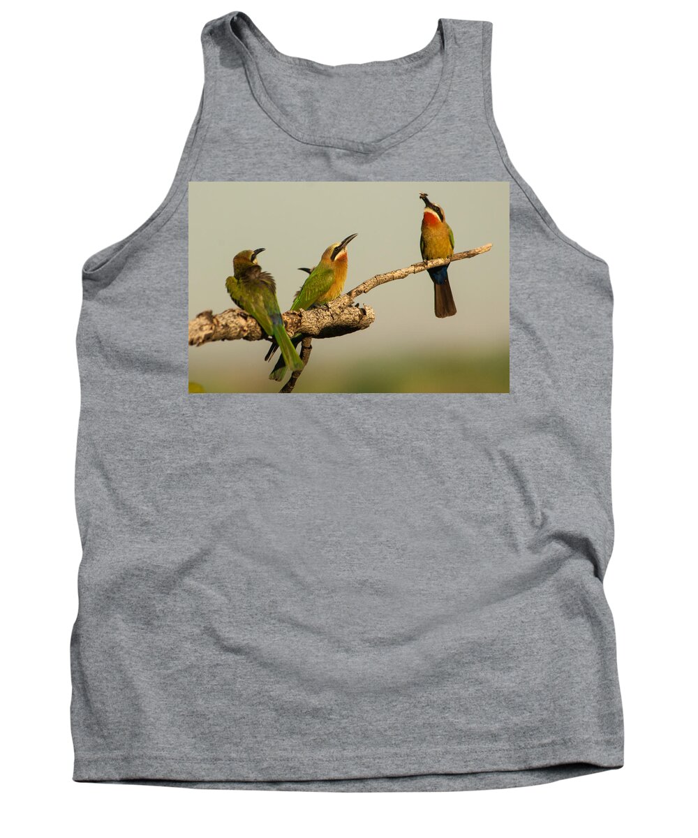 Africa Tank Top featuring the photograph Pass the bee by Alistair Lyne