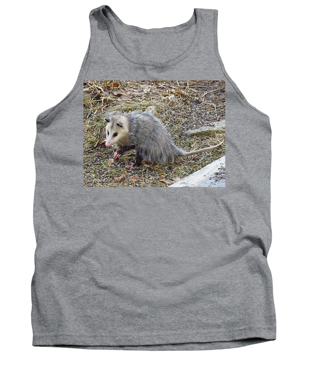 Possum Tank Top featuring the photograph Pawing Possum by MTBobbins Photography