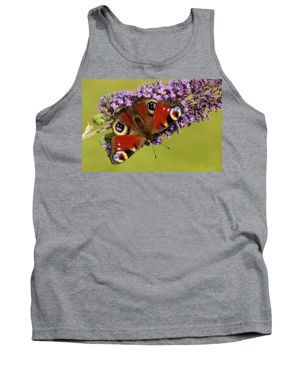 Flpa Tank Top featuring the photograph Peacock Butterfly On Buddleia by Malcolm Schuyl