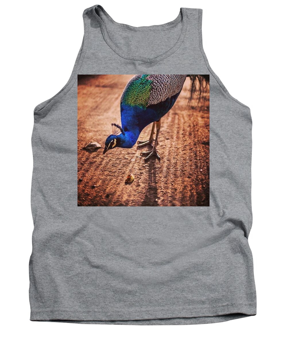 Beautiful Tank Top featuring the photograph Peacock In Africa by Aleck Cartwright