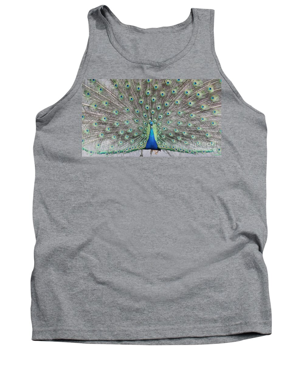 Peacock Tank Top featuring the photograph Peacock by John Telfer