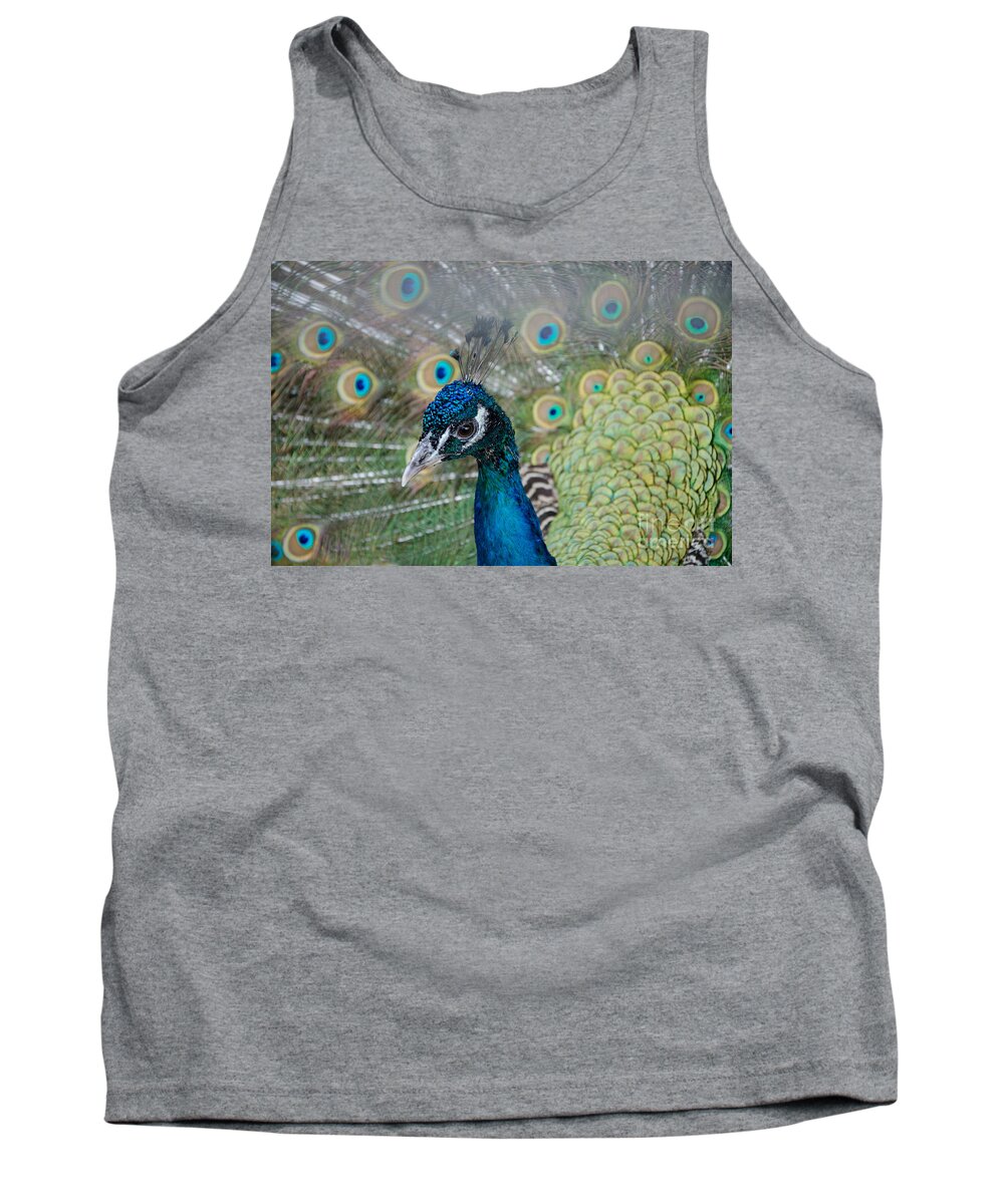 Peacock Tank Top featuring the photograph Peacock Portrait by Laurel Best