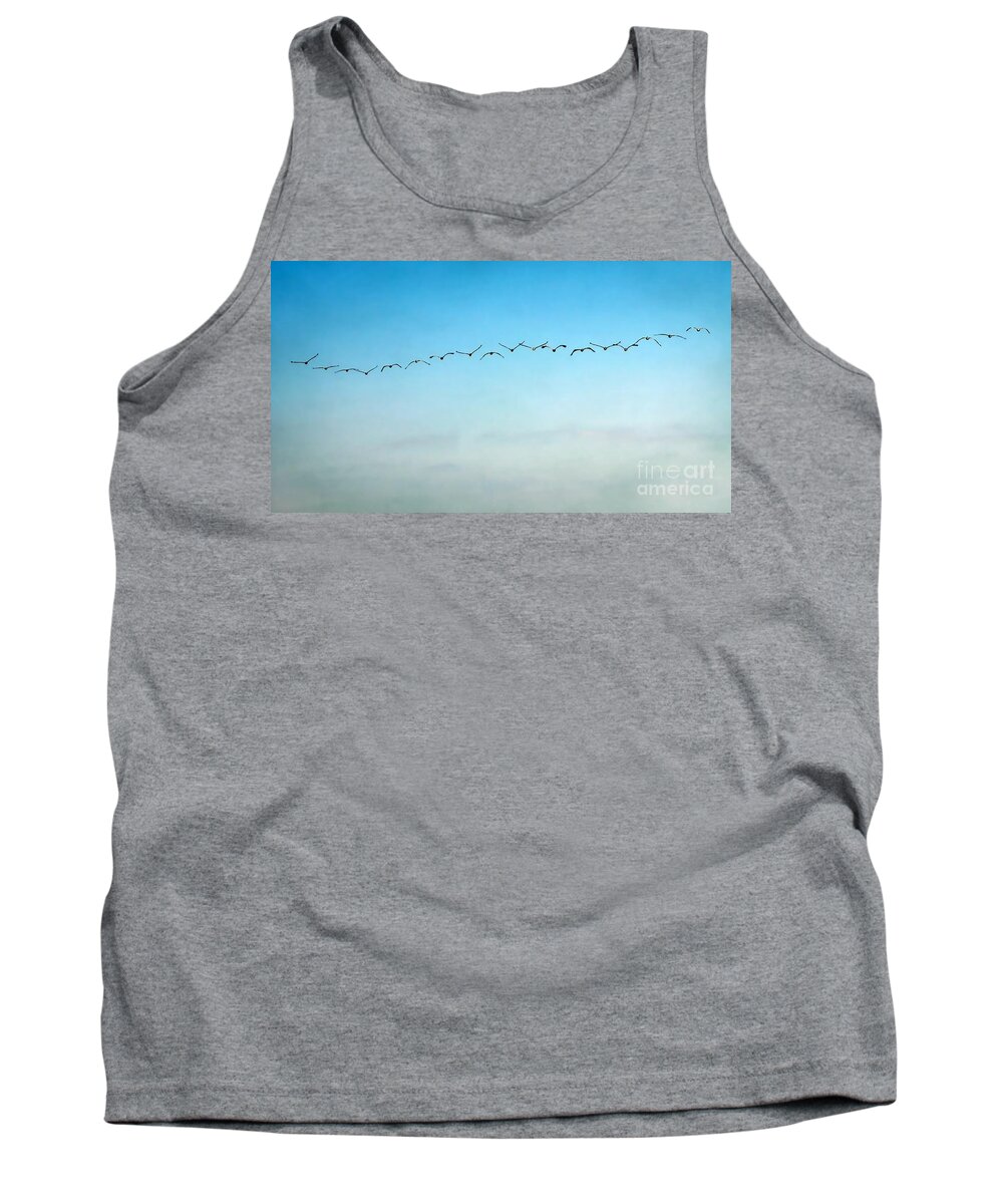Pelican Tank Top featuring the photograph Pelican Flight Line by Peggy Hughes