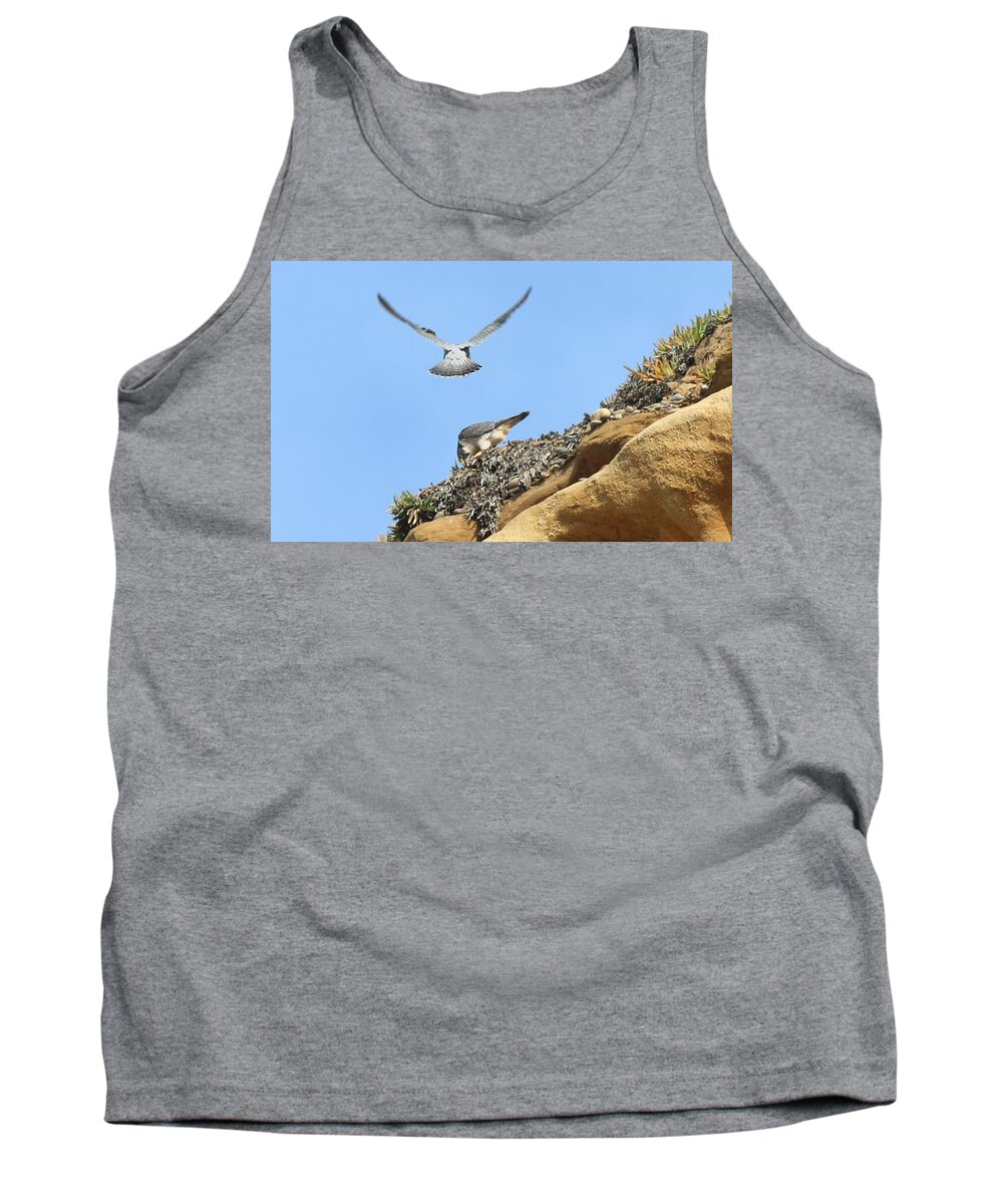 Peregrine Tank Top featuring the photograph Peregrine Falcons - 2 by Christy Pooschke