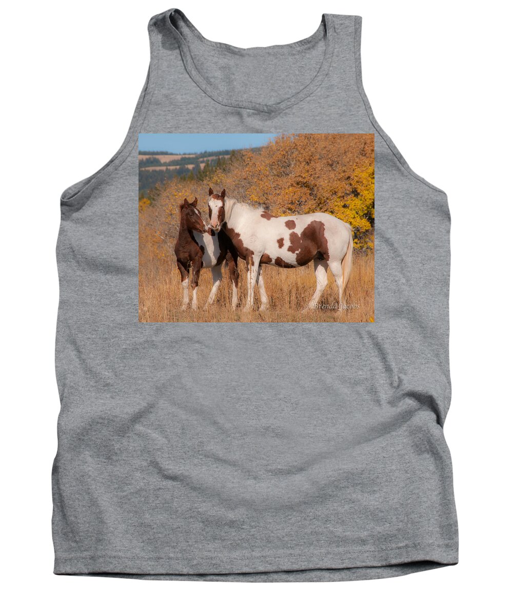 Water Tank Top featuring the photograph Pintos in Glacier National Park by Brenda Jacobs