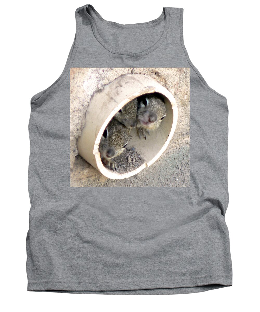 Animals Tank Top featuring the photograph Playing in a Pipe by Laurel Powell