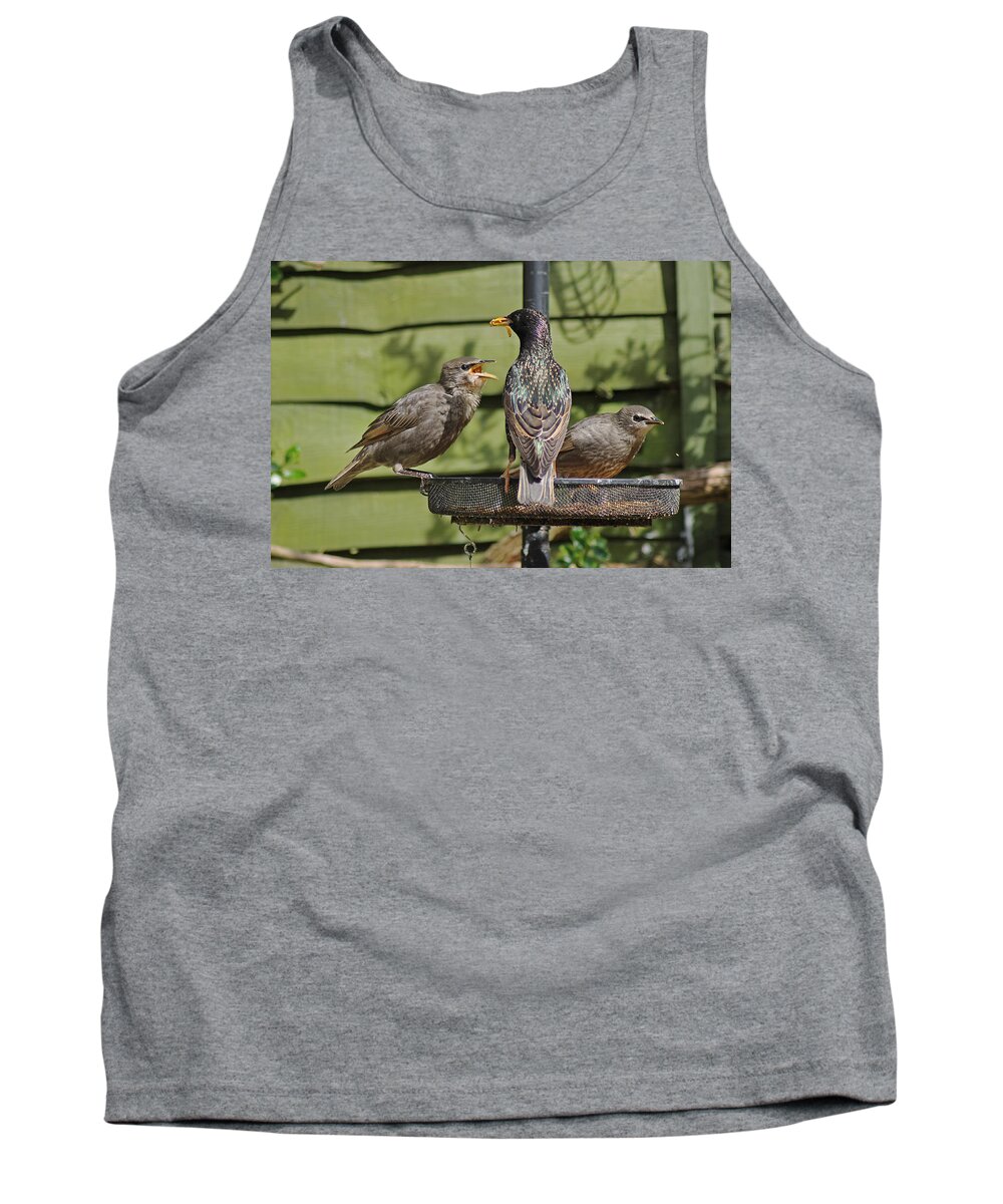 Starling Tank Top featuring the photograph Please feed me. by Tony Murtagh