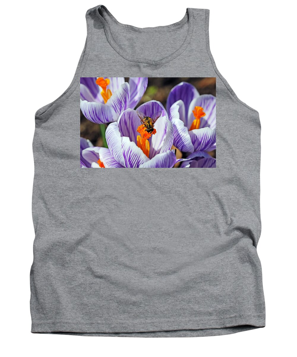 Hover Fly Tank Top featuring the photograph Popping Spring Crocus by Debbie Oppermann