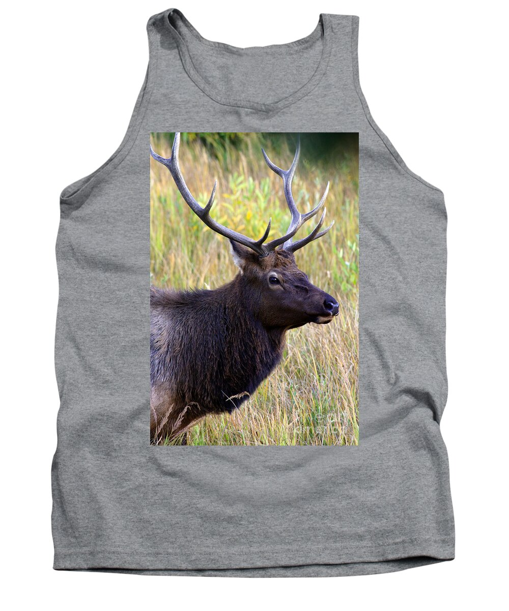 America Tank Top featuring the photograph Portrait of an Elk by Karen Lee Ensley