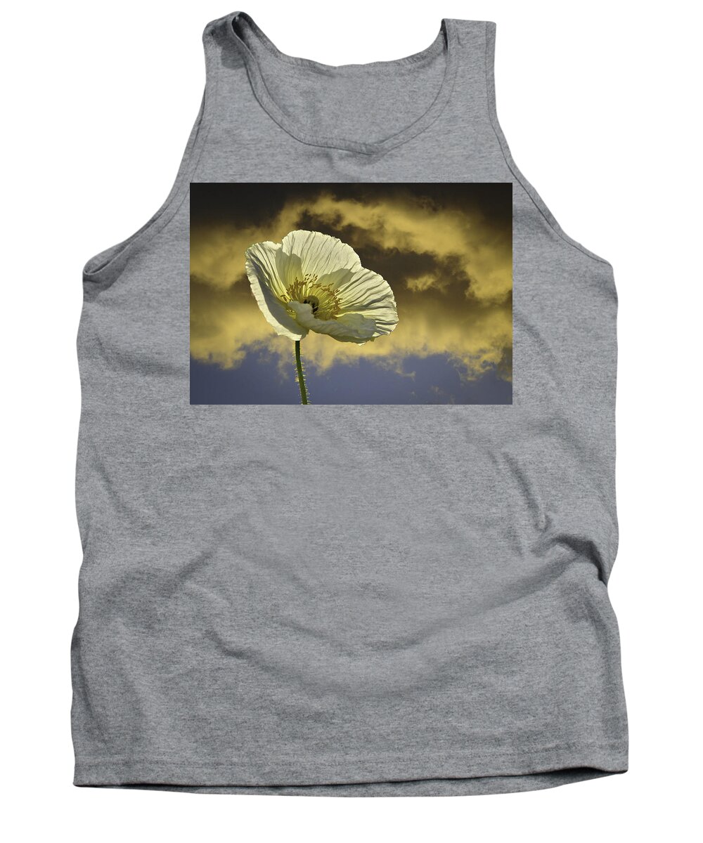 Poppy Tank Top featuring the photograph Prelude to Spring by Lynn Bauer