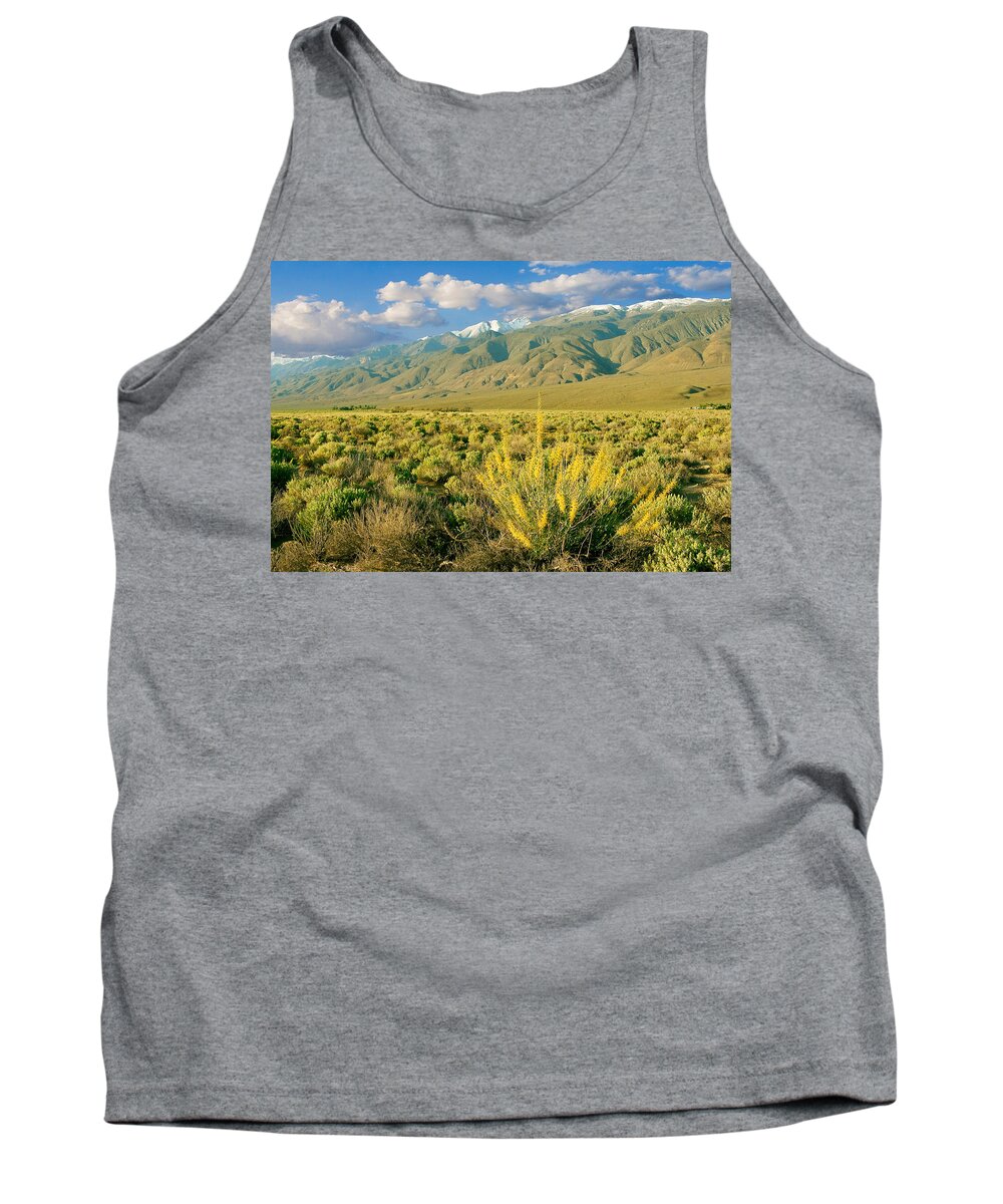White Mountains Tank Top featuring the photograph Princes Plume and White Mountains - Owens Valley California by Ram Vasudev