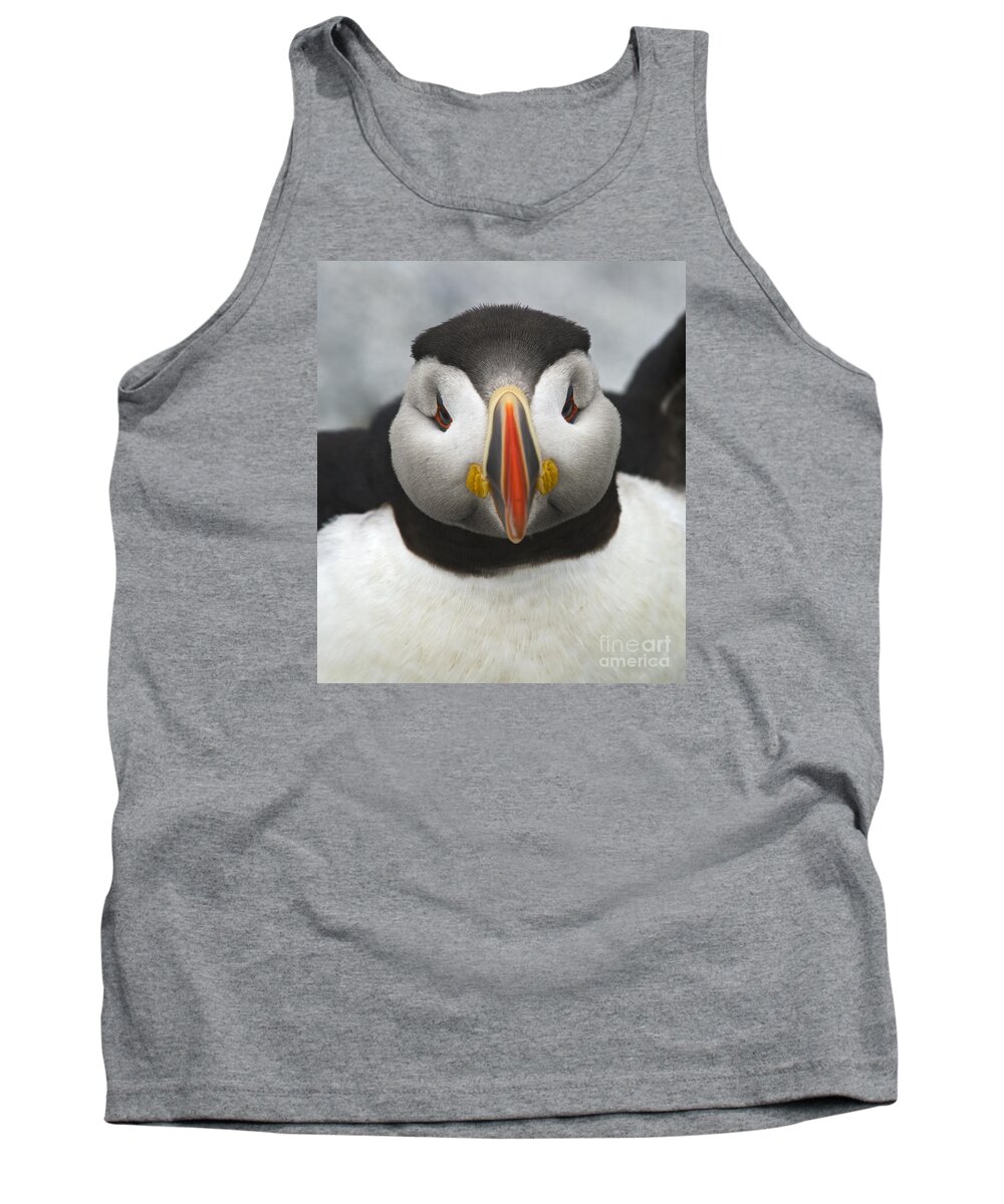 Festblues Tank Top featuring the photograph Puffin it Up... by Nina Stavlund