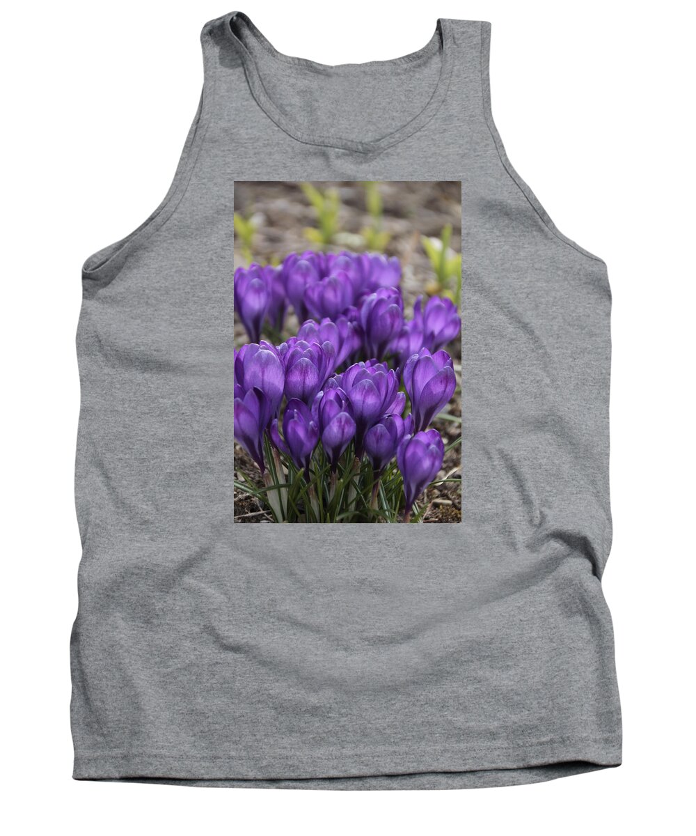 Springtime Tank Top featuring the photograph Purple crocus Flowers by Valerie Collins