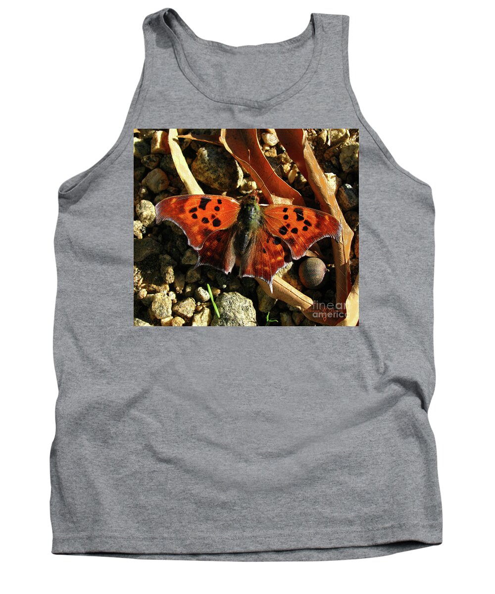 Butterfly Tank Top featuring the photograph Question Mark Butterfly by Donna Brown